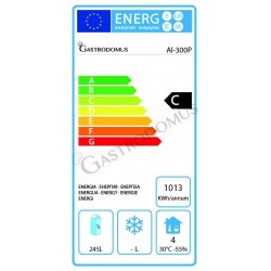 Congelatore a pozzetto Statico 273 LT - mod. AI-300P