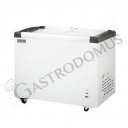 https://www.gastrodomus.it/82732-home_default/congelatore-a-pozzetto-statico-355-lt-18c-porta-vetro-classe-energetica-c.jpg