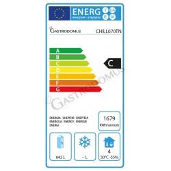 Congelatore a pozzetto con porta cieca temp da +8°C a -24°C - capacità 446  lt - ProjectFood